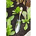Burgon & Ball Sophie Conran Long Thin Trowel Gift Boxed