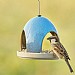 National Trust Vierno Tavern Seed Feeder