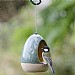National Trust Vierno Drinker Water Dish