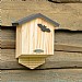 National Trust Arundel Bat Box