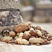 Wildlife World Cotswold Granaries Squirrel Food