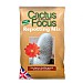 Cactus & Succulent Focus Repotting Mix Peat Free 3L
