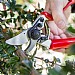Darlac Expert Rotate Handle Pruner