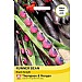 Thompson & Morgan Runner Bean Black Knight Seeds