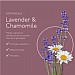 Calm Lavender & Chamomile Hand Wash Refill 1L