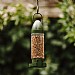 Peckish Mealworm Ready To Use Feeder
