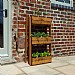 Charles Taylor Country Kitchen Herb Garden - Regular