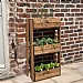 Charles Taylor Country Kitchen Herb Garden - Regular