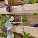 Forest Living Screen Planter