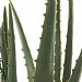 Aloe Vera Potted Artificial Plant 67cm