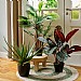 Aloe Vera Potted Artificial Plant 67cm