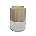 Transparent Clear Glass & Wood Vase 20cm