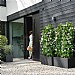 Elho Vivo Next Square Planter 30cm Living Black