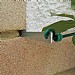 Garland Vine Eyes (Set of 10)