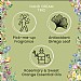 Heathcote & Ivory Flower of Focus Power Through Hand Cream Trio (3 x 30ml)