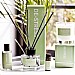 Stongelow Wellbeing De-Stress Oil Blend 10ml