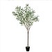 Gallery Direct Green Olive Tree Large 202cm