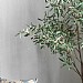 Gallery Direct Green Olive Tree Large 202cm