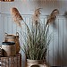 Gallery Direct Pampas Grass (5 Heads)