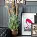 Gallery Direct Pampas Grass (5 Heads)