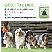 Bugalugs Cut Grass Artificial Grass Cleaner 1L