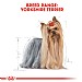 Royal Canin Breed Health Nutrition Yorkshire Terrier Dry Dog Food - Adult (1.5kg)