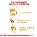 Royal Canin Breed Health Nutrition Yorkshire Terrier Dry Dog Food - Adult (1.5kg)