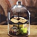 Artesa Appetiser Two Tier Serving Dome