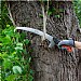Wilkinson Sword Telescopic & Handheld Saw