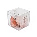 Spice Inspired Himilayan Rock Salt & Mini Stainless Steel Grater