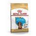 Royal Canin Breed Health Nutrition Dachshund Dry Dog Food - Junior (1.5kg)
