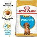 Royal Canin Breed Health Nutrition Dachshund Dry Dog Food - Junior (1.5kg)