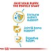 Royal Canin Breed Health Nutrition Dachshund Dry Dog Food - Junior (1.5kg)