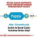 Royal Canin Breed Health Nutrition Yorkshire Terrier Dry Dog Food - Junior (1.5kg)