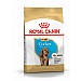 Royal Canin Breed Health Nutrition Cocker Dry Dog Food - Puppy (3kg)