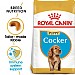 Royal Canin Breed Health Nutrition Cocker Dry Dog Food - Puppy (3kg)
