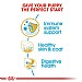 Royal Canin Breed Health Nutrition Cocker Dry Dog Food - Puppy (3kg)
