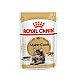 Royal Canin Feline Breed Nutrition Maine Wet Food (85g)