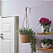 Smart Garden The Weaver Hanging Basket