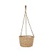 Smart Garden The Weaver Hanging Basket