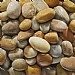 Altico Finest Natural Large Cobbles