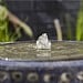 Altico Enya Water Feature