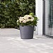 Stewart Garden 40cm Varese Low Planter Millstone Grey