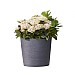 Stewart Garden 40cm Varese Low Planter Millstone Grey