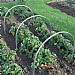 Gardening Naturally High Top Hoop - Large