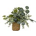Faux Plant in Seagrass Basket (30cm)