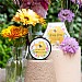 Heathcote & Ivory Busy Bees Honey Lip Butter (20g)