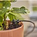 GARDENA Micro-Drip-System Irrigation Set - Balcony (15 plants)