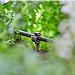 GARDENA Micro-Drip-System Pipe Peg 4,6 mm (3/16