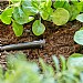 GARDENA Micro-Drip-System Plug